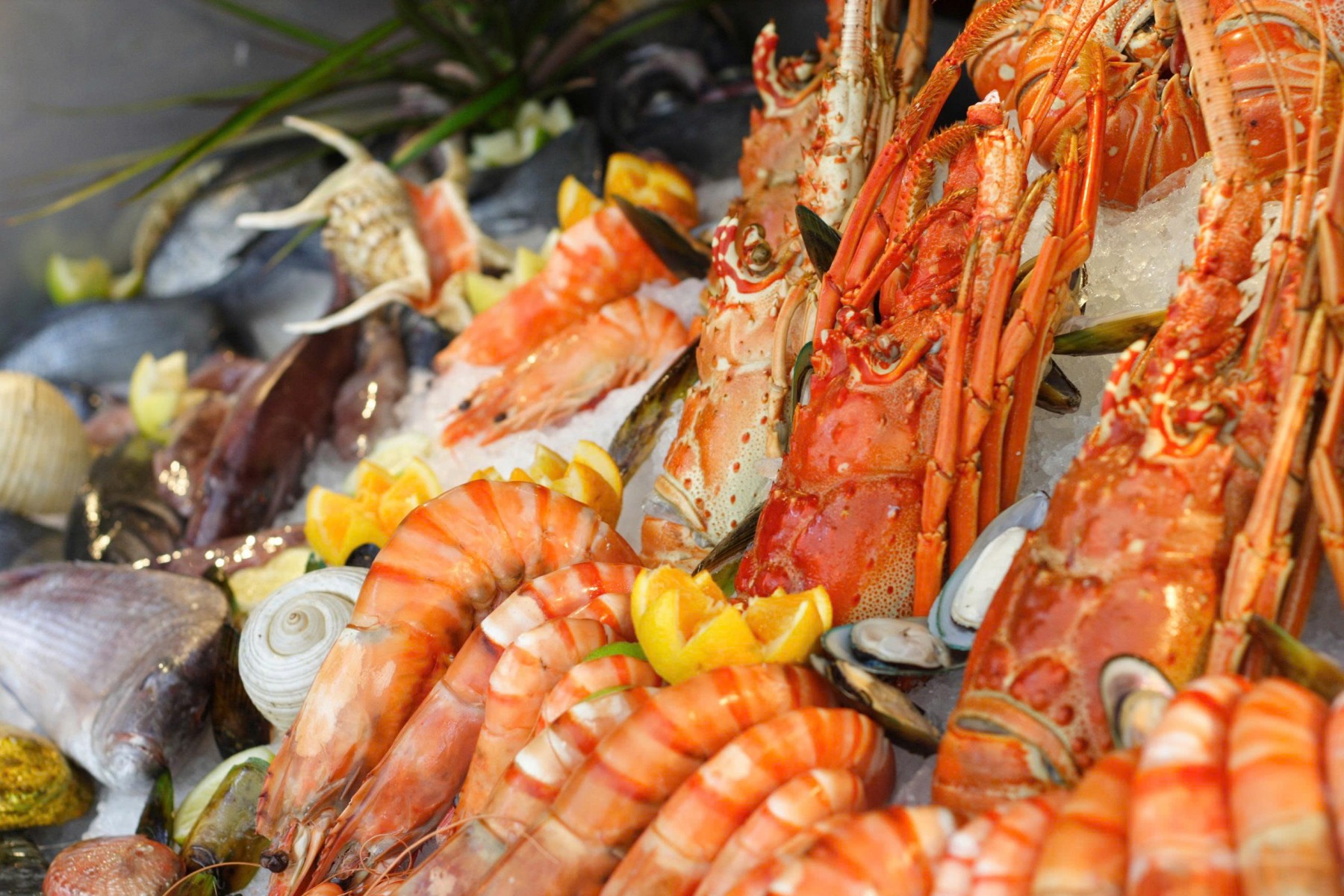 Saturday Seafood Buffet Dinner